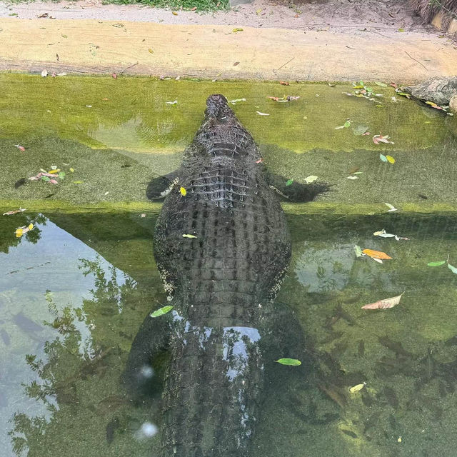新加坡河川生態園～綠洲渡假🏖️遊憩生態