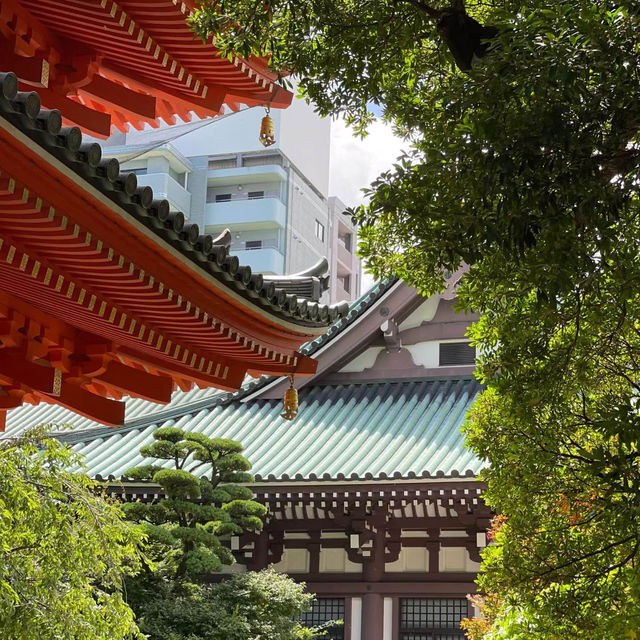 「新宿花園神社」歷史文化驛站