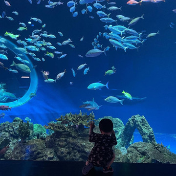 那覇】飛行機✈️離発着が目の前✨瀬長島ウミカジテラス | Trip.com 豊見城