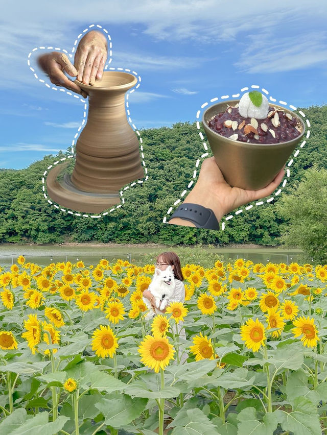 강아지도 아이도 모두가 만족스러울 경주 2박 3일 애개여행💗 