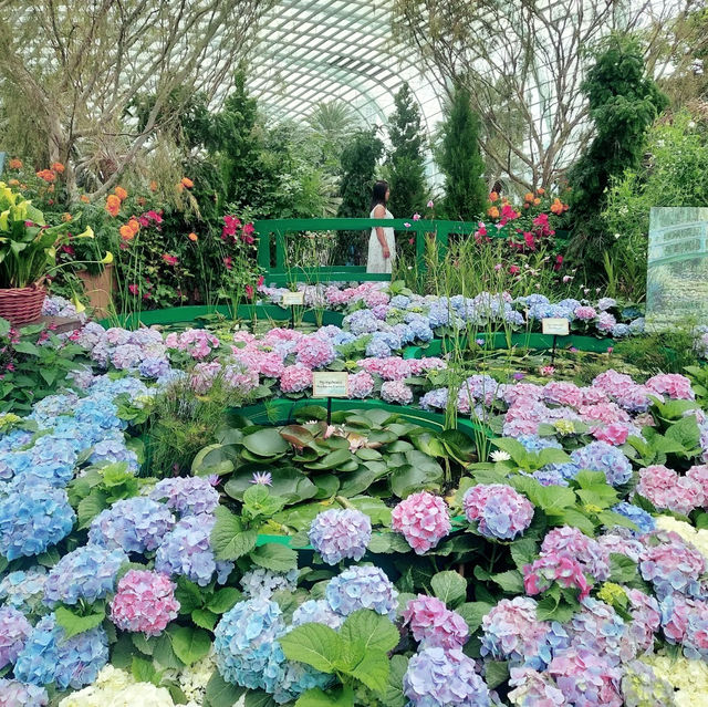 Monet's Masterpiece Come to Life: A Floral Fantasy