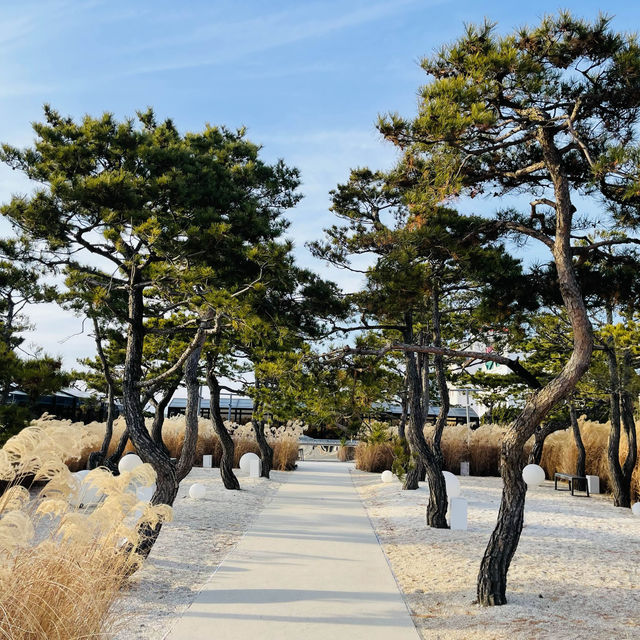 강원도 강릉 강문해변 인근에 위치한 힐링카페