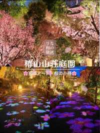 〜東京都〜行って欲しい！光のアート桜小路🌸