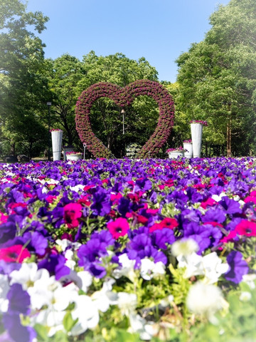 Osaka Prefecture~ Osaka Nagai Botanical Garden where 3,500 roses