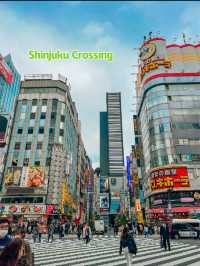Tips for Shinjuku in Tokyo, Japan 🇯🇵