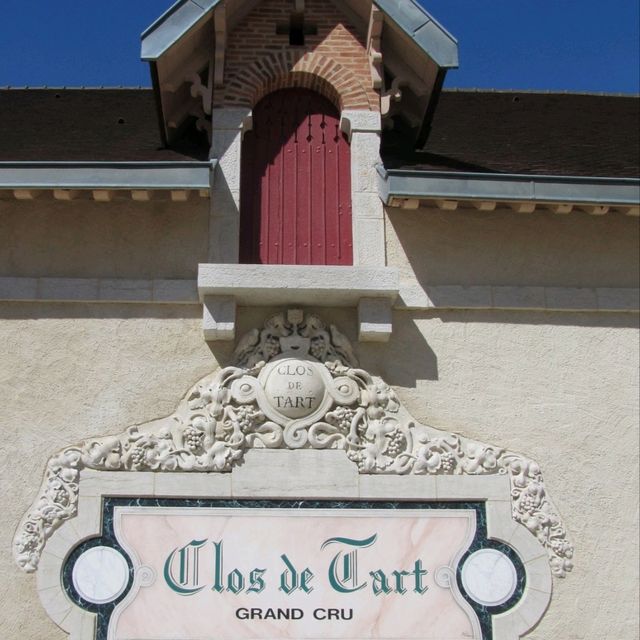 Another beauty in Burgundy