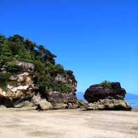 Unveiling Bako National Park: A Symphony of Nature’s Masterpieces