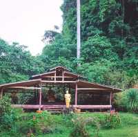 ที่เที่ยวธรรมชาติ@สุราษฯ