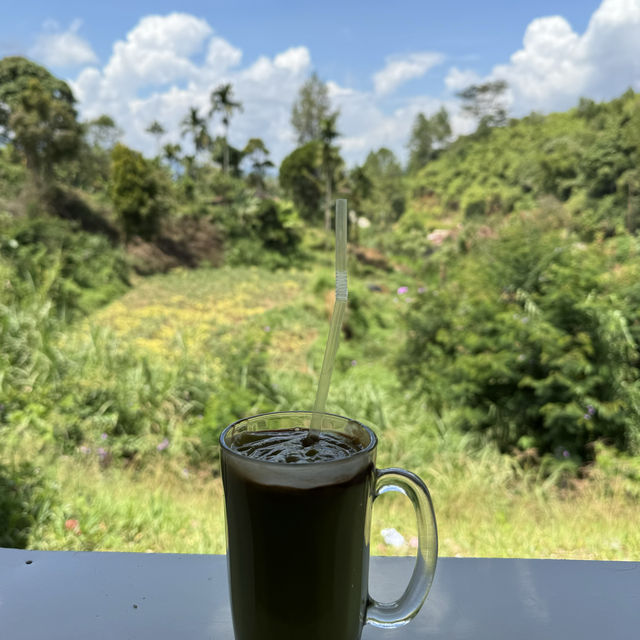 Hiking the highest active vocano in south east Asia . 