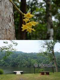 ทริปขับรถ นอนแคมป์ปิ้งดูดาว ชมวิวเขื่อน จันทบุรี 👋🏻
