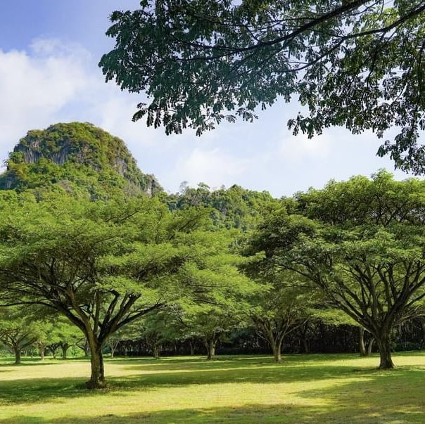 𝐁𝐨𝐫 𝐒𝐚𝐞𝐧 𝐕𝐢𝐥𝐥𝐚 บ่อแสนวิลล่า