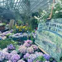 Singapore 🇸🇬 Most beautiful indoor garden 