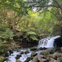 【長野】霧ヶ峰高原