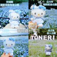 💙Hello Kitty 帶你遊日本粉碟花💙