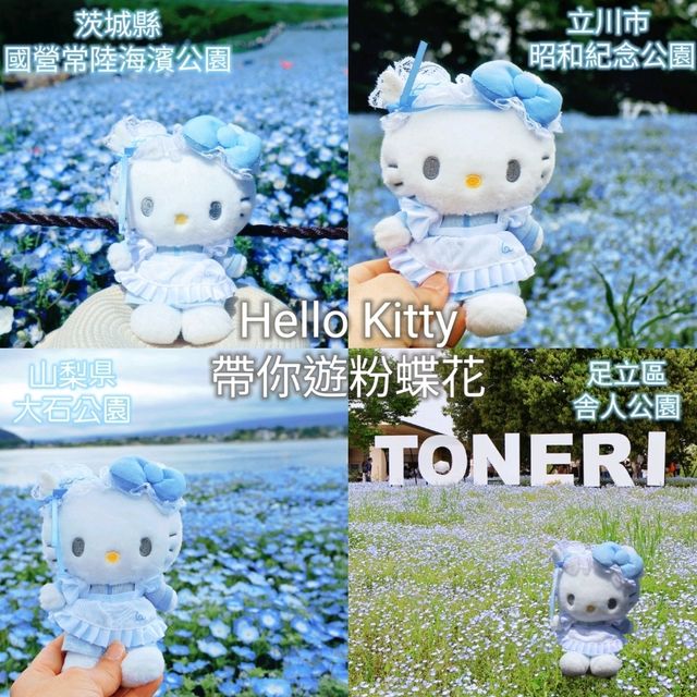 💙Hello Kitty 帶你遊日本粉碟花💙