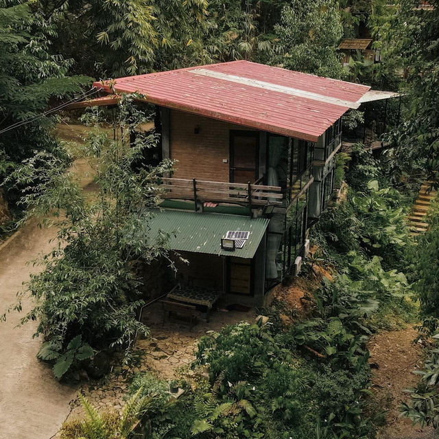 BEE FOREST