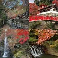 Awesomely beautiful of Minoo in Osaka