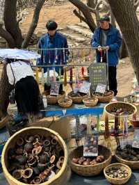 A Scenic Shaolin Adventure: From Cable Cars to Geological Wonders