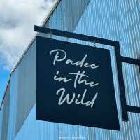 #ร้านปาฎี #คาเฟ่ระยอง #ธีมฤดูกาลเก็บเกี่ยวข้าวโพด 