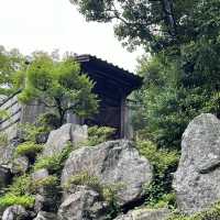 【京都】修学院離宮の豊かな自然を楽しもう🌲