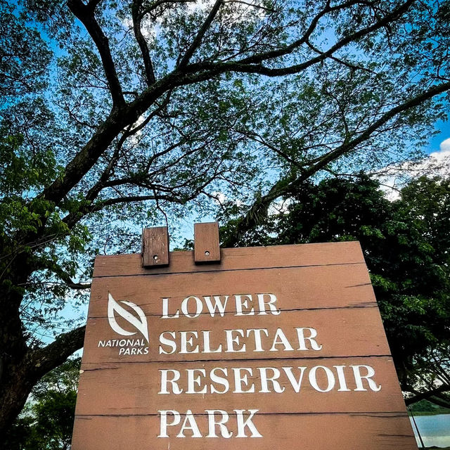 Kayaking at Lower Seletar Water Sports Centre