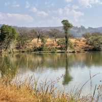 Pedal Through Wildlife in Eswatini’s Best-Kept Secret