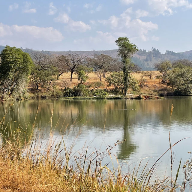 Pedal Through Wildlife in Eswatini’s Best-Kept Secret