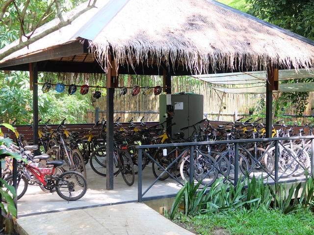 Hintok River Camp ที่พักสไตล์glampingติดแม่น้ำแคว