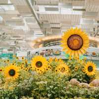 Visit the Most Beautiful Airport in the World 🌎 