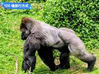 台北-大人小孩都喜歡的最佳親子景點：台北市立動物園