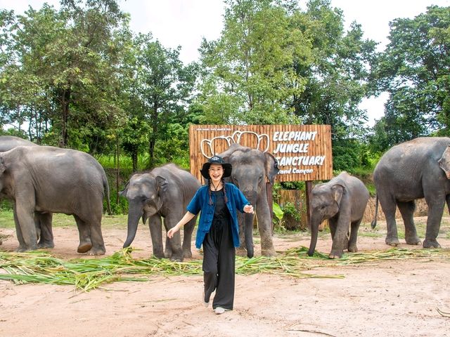 Elephant Jungle Sanctuary Grand Canyon CNX