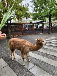 親親動物零距離