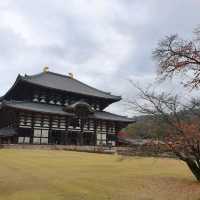เมืองนาราในฤดูใบไม้ร่วง !!!