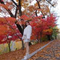 Ewha Womans University | Seoul | Korea