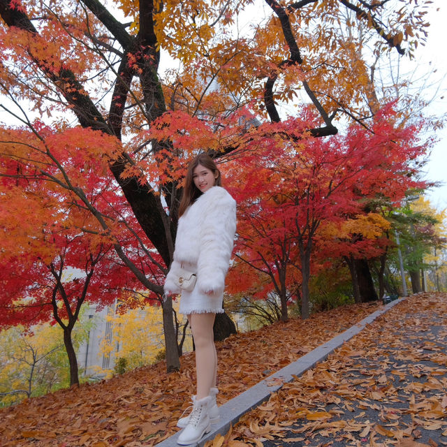 Ewha Womans University | Seoul | Korea
