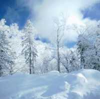 Snow Valley 雪谷( ตั้งอยู่ในเขต Wuchang) 