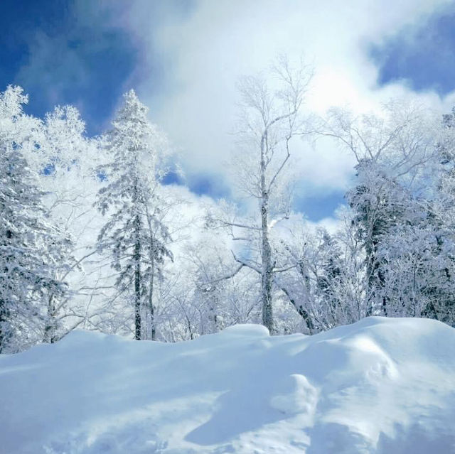 Snow Valley 雪谷( ตั้งอยู่ในเขต Wuchang) 