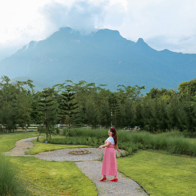 ⛰️💚 ฤดูภูเขา เชียงดาว จ.เชียงใหม่