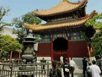 Lama Temple 