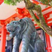 Hiking Mount Kurama: A Colorful Autumn Adventure