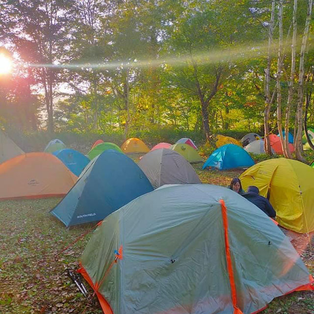 Reconnect with Nature at Oze National Park