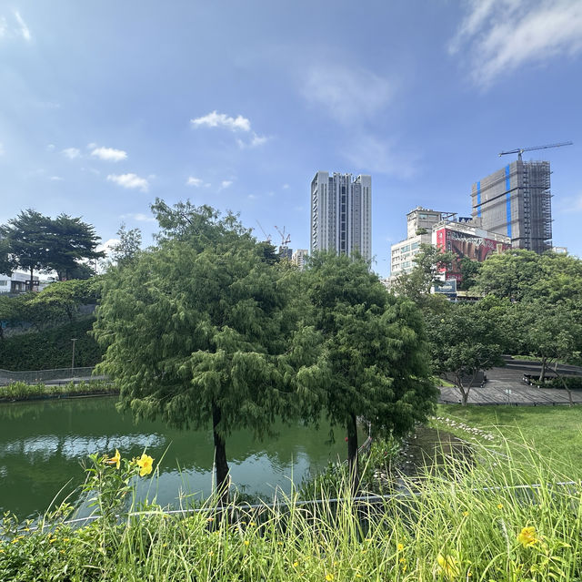 **🍂 台中秋紅谷 | 都市のオアシス、四季折々の美しさを感じる場所**