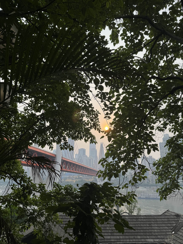 重慶，你去了就不想走。