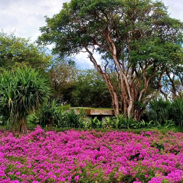 【Peninsula Island】巴釐島Nusa Dua區半島海洋公園，享受寧靜美好