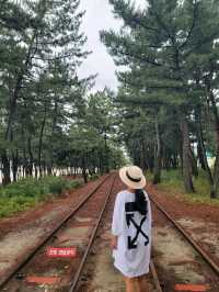 손하트 포토존이 예쁜 삼척 원평해수욕장💙