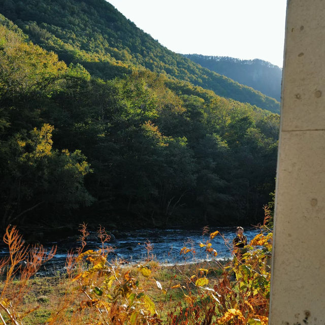  綠岳：秋色登山的夢幻🍂🏔️
