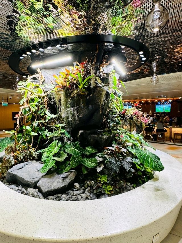 Medly dining at Changi Airport