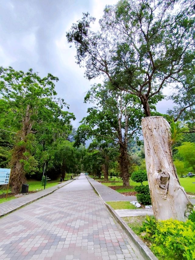 Enjoying Penang Botanic Gardens 