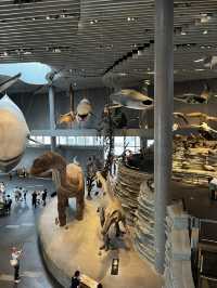 Museum ราคาดีที่ห้ามพลาดเมื่อมาเที่ยวเซี่ยงไฮ้ 🦕