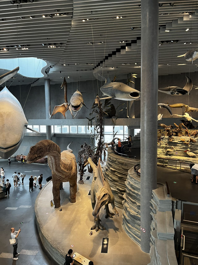 Museum ราคาดีที่ห้ามพลาดเมื่อมาเที่ยวเซี่ยงไฮ้ 🦕